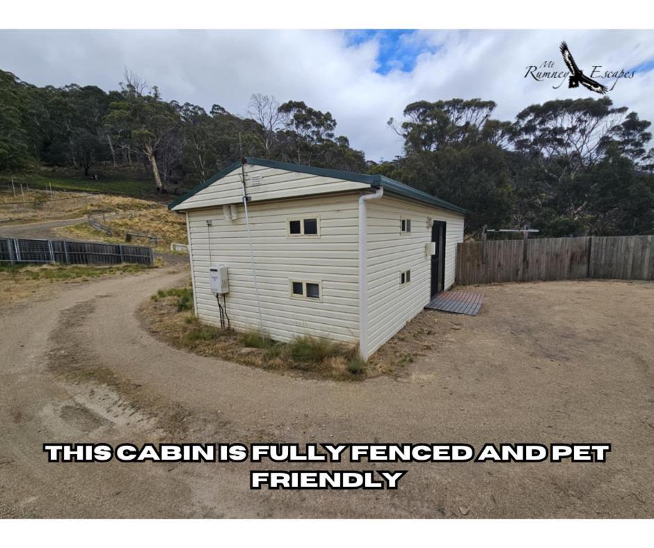 Mount Rumney Escapes - Platypus Cabin エクステリア 写真